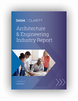 Deltek Clarity Report