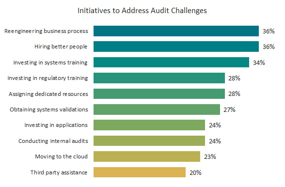 Initiatives to Address Audit Challenges