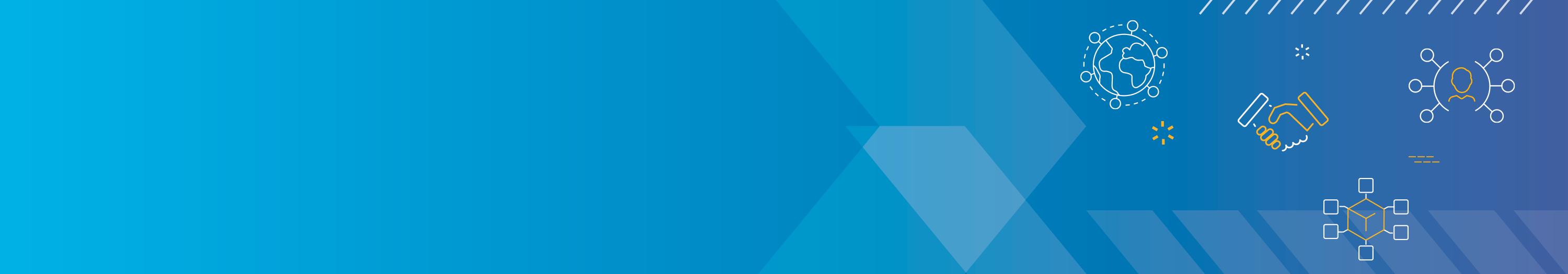 Deltek Partner Network