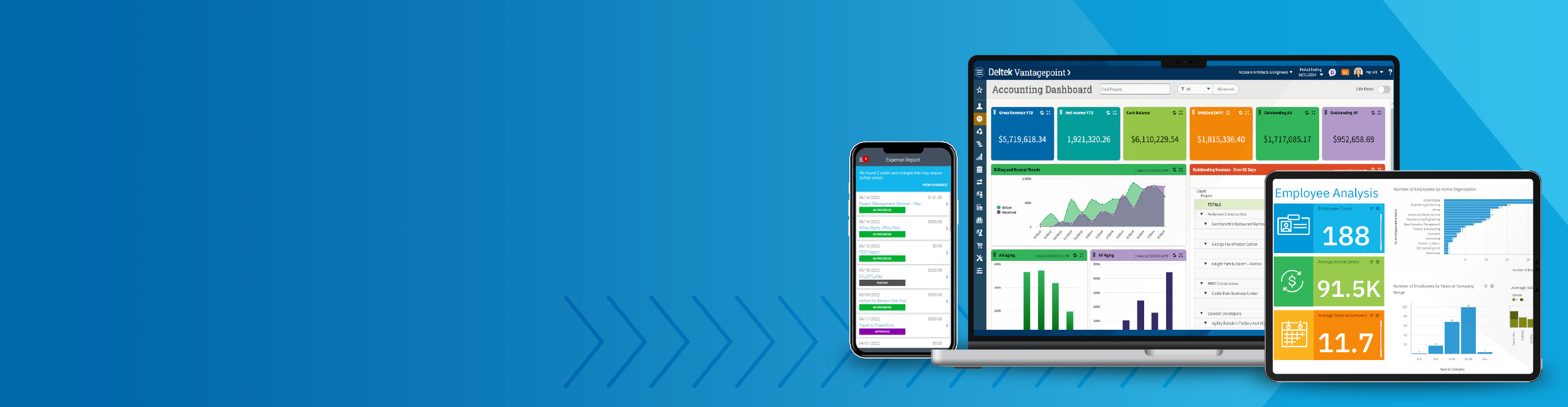 Deltek ERP softwareprodukter