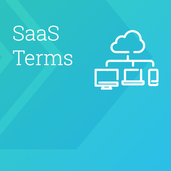 SaaS Terms