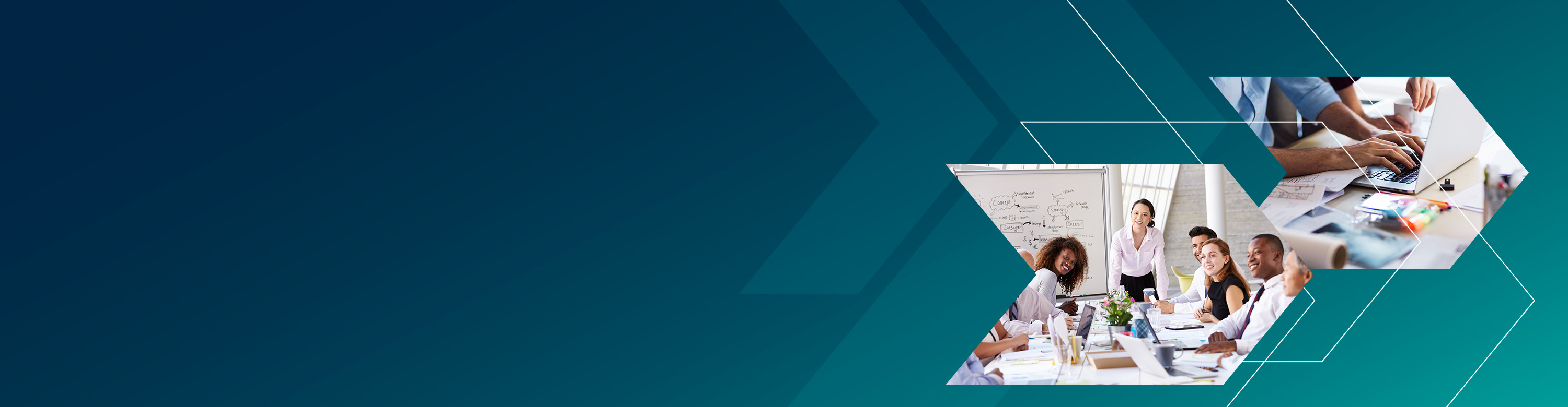 ERP and Accounting Software