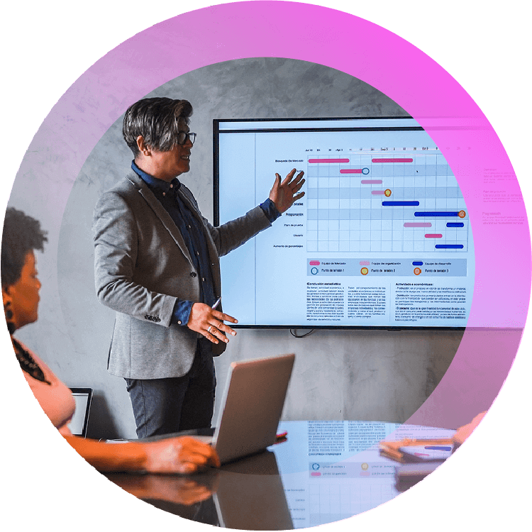 Project lifecycle plan