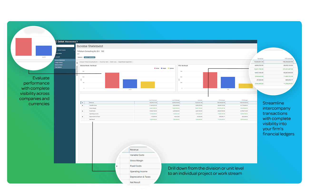 Deltek Maconomy Financial Budgeting Features