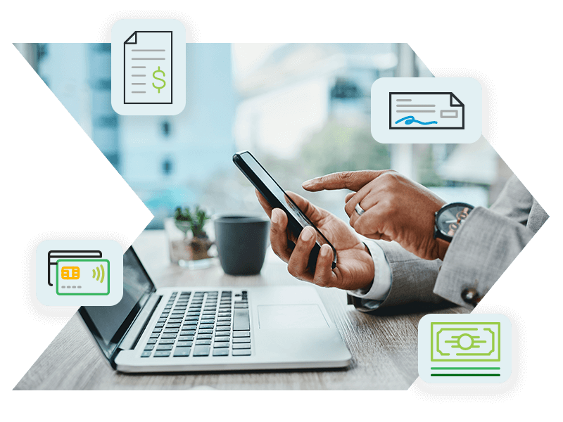 Deltek Payments Overview