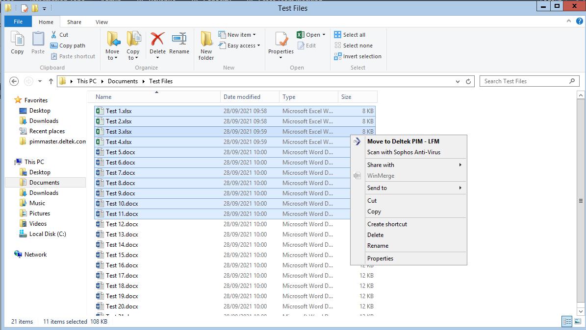 Deltek PIM Local File Management