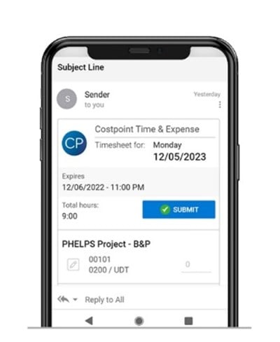 Costpoint Time & Expense Mobile View