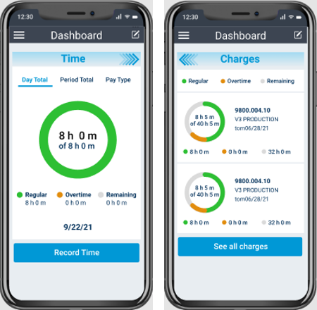 Time and Expenses Mobile Dashboard