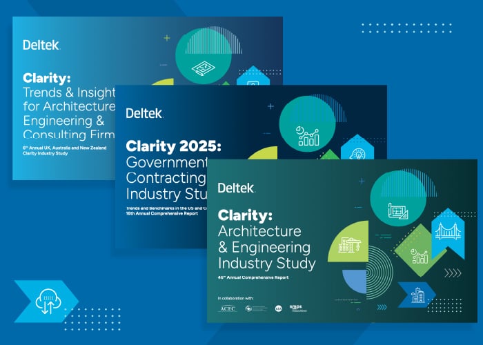 Deltek Clarity Global Overview