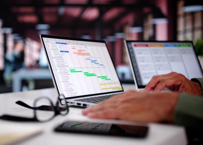 Person working on project management software