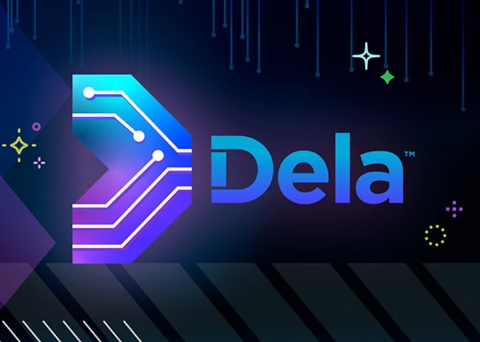 Deltek Dela