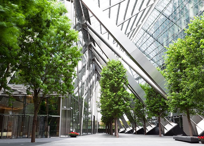 Office building with trees