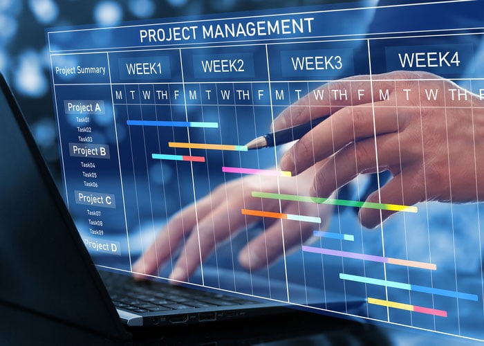 Project Manager Reviewing Multi-Project Gantt Chart Schedule and Timelines