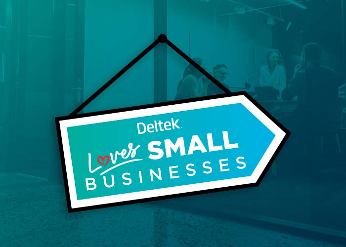 Deltek Small Business