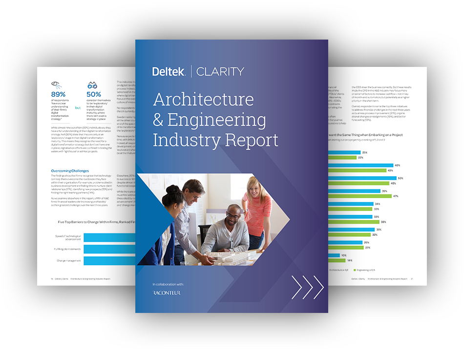 Deltek Clarity Report
