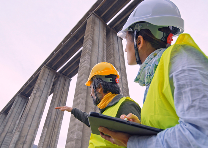 Two engineers discussing a project