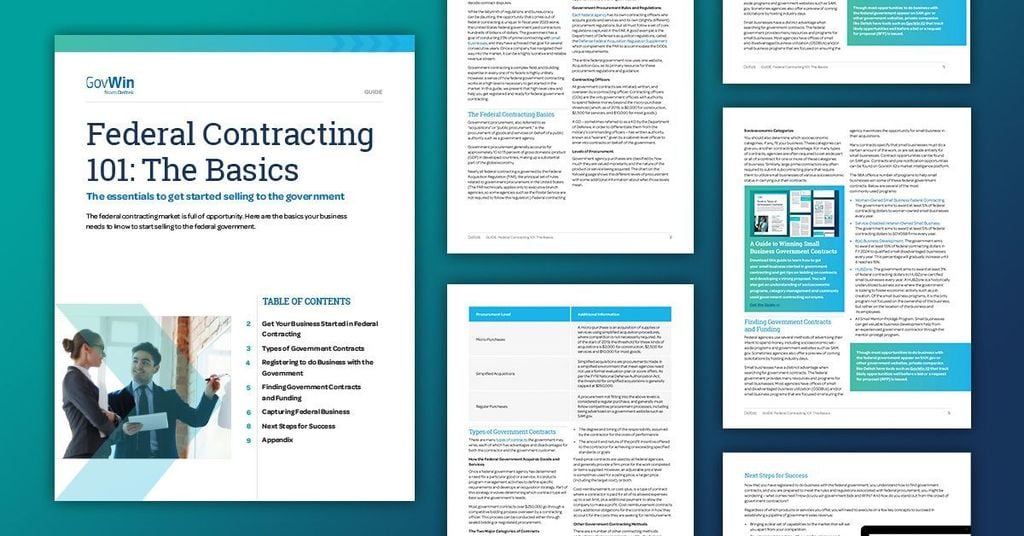 Federal Contracting 101: The Basics