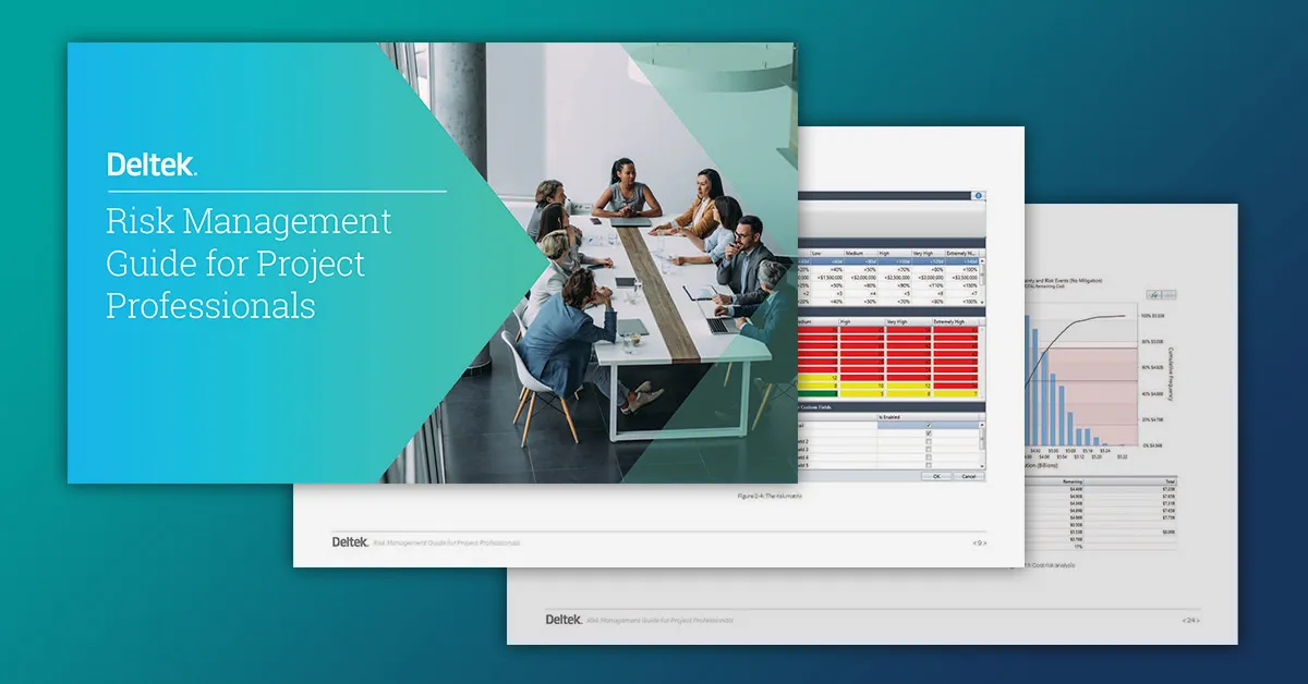 Risk Management Guide for Project Professionals